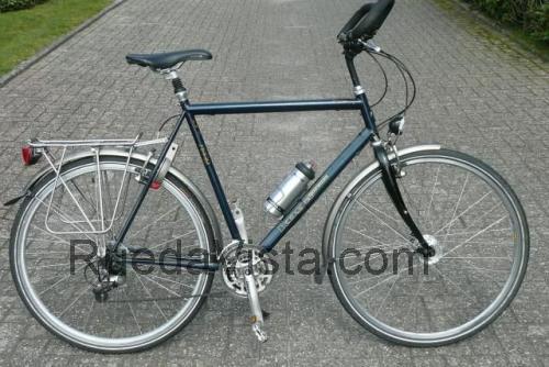 Koga Miyata TerraLiner Alloy ficha técnica y opiniones